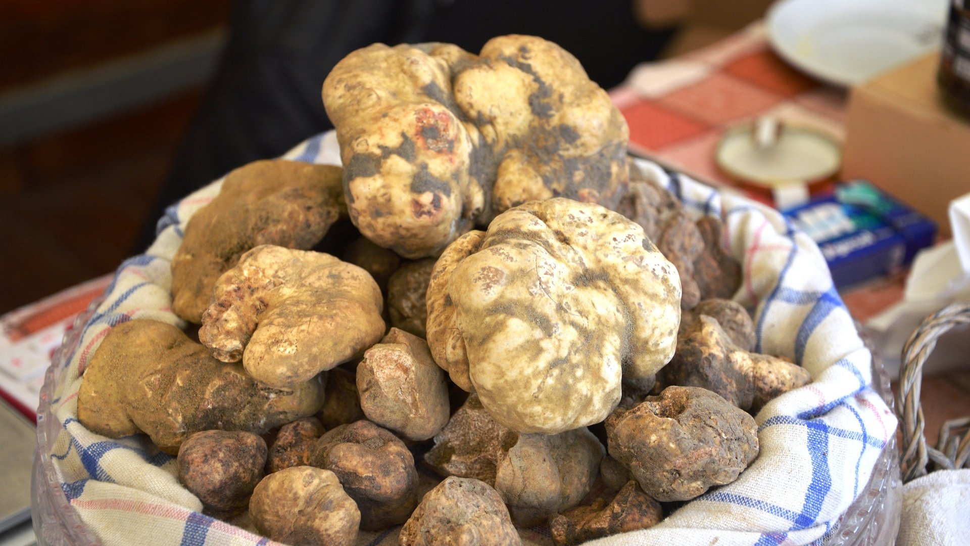 tartufo-bianco_koD